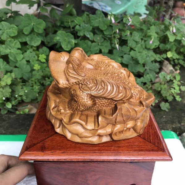 Thiềm Thừ Gỗ Bách Xanh (Con cóc)